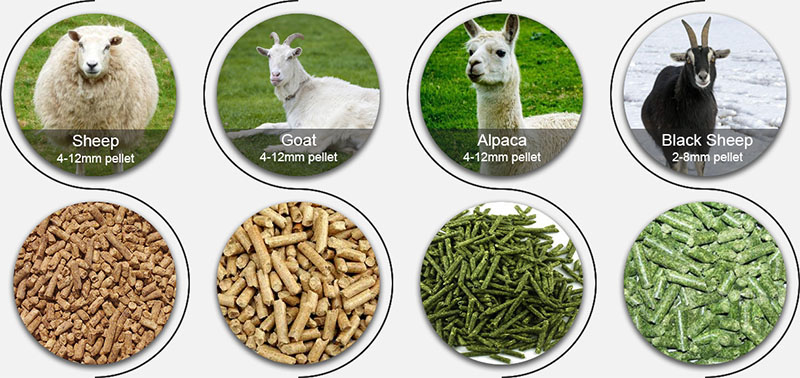 livestock feed pellets