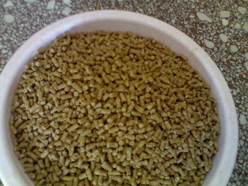 animal feed pellets