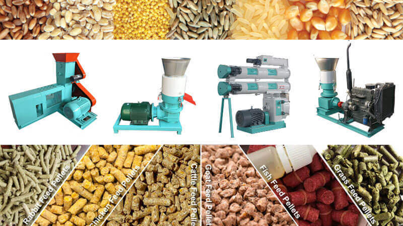 feed pellet making machine 