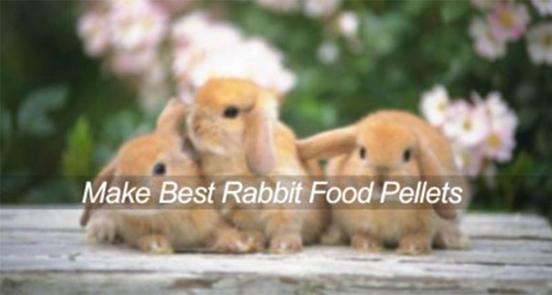 feed pellet for rabbit farm