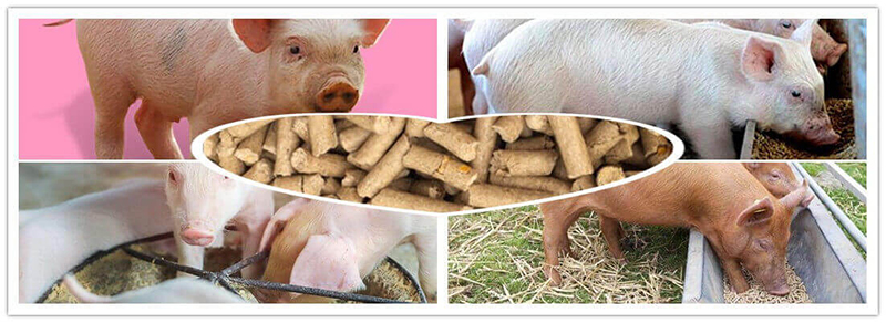 pig feed pellets