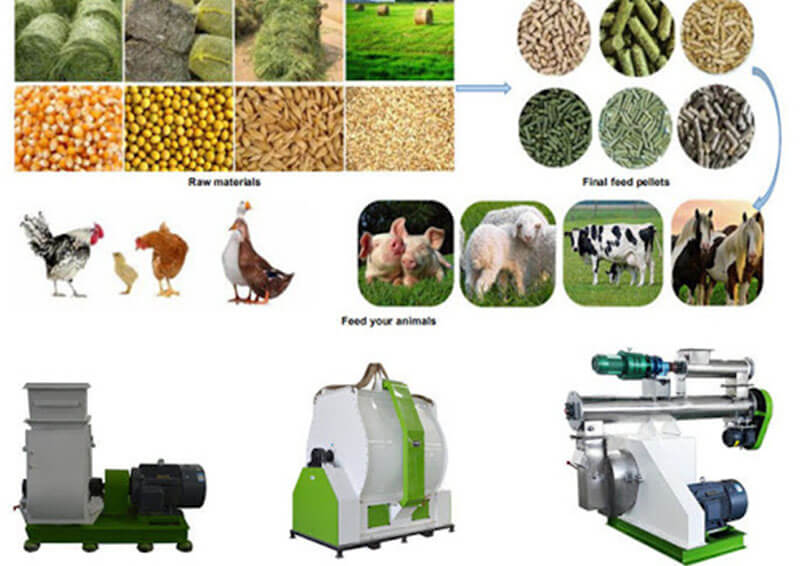 poultry feed pellet making machine