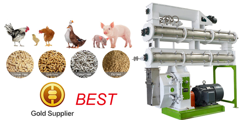 ring die feed pellet mill