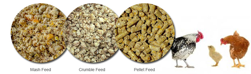 chicken feed pellets