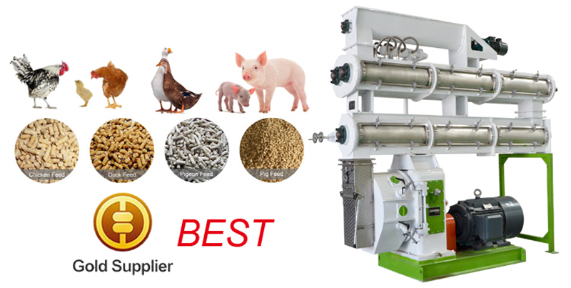 poultry feed pellet making machine