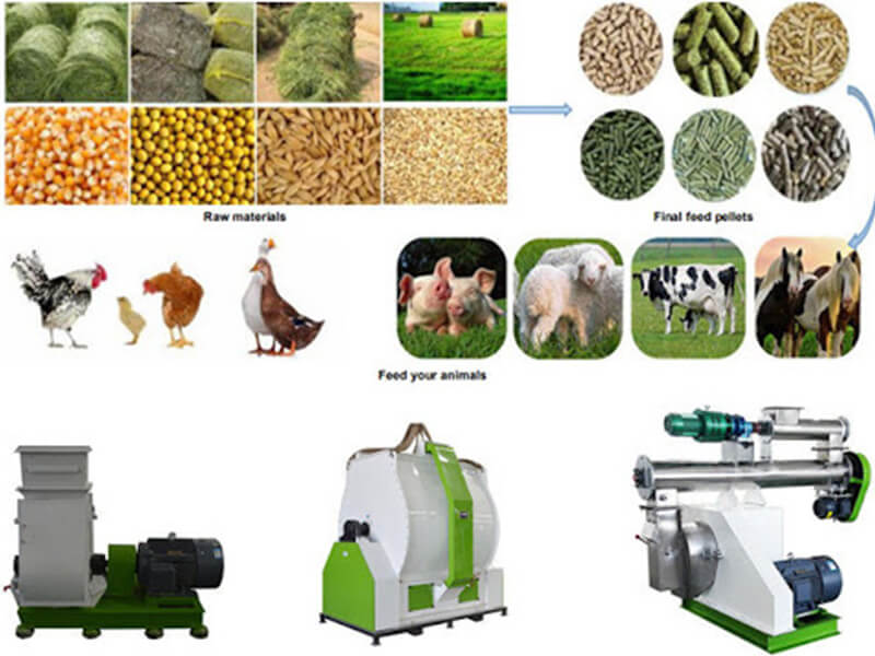 poultry feed pellet plant  