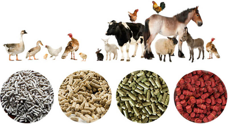 poultry feed pellet production machinery