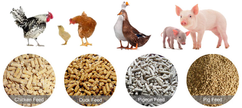 poultry feed pellets