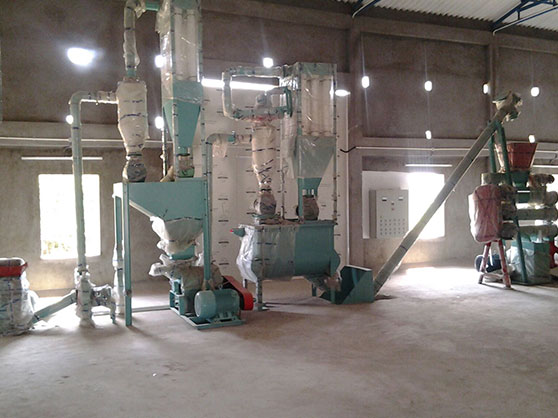 small fish feed pellet production line