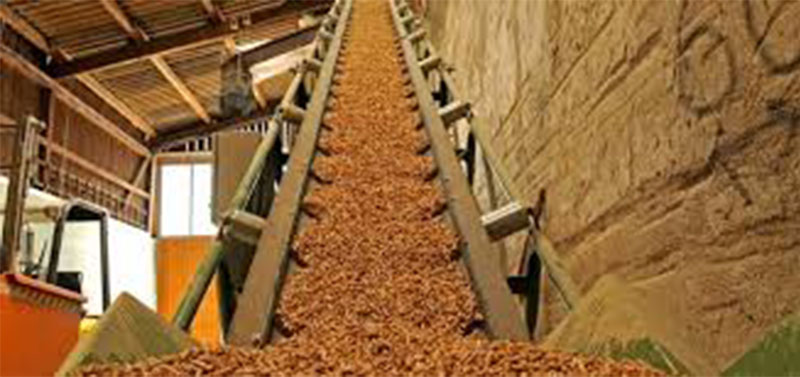 biomass pellets fuel